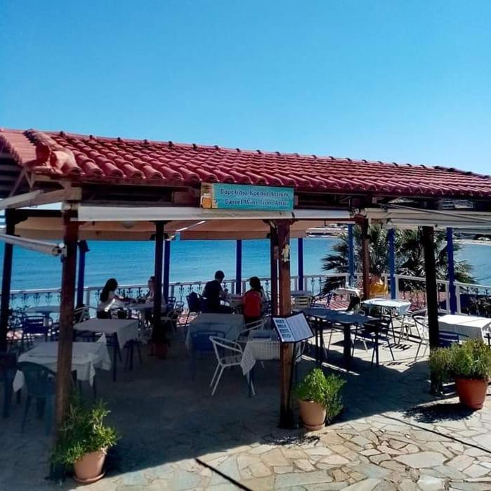 Svetlana & Michalis Oasis Hotel Agia Marina  المظهر الخارجي الصورة