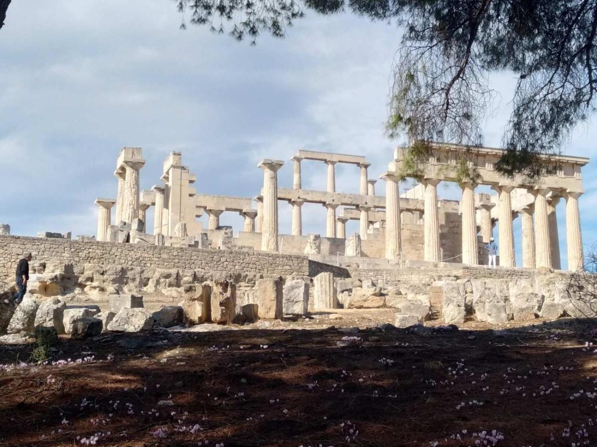 Svetlana & Michalis Oasis Hotel Agia Marina  المظهر الخارجي الصورة