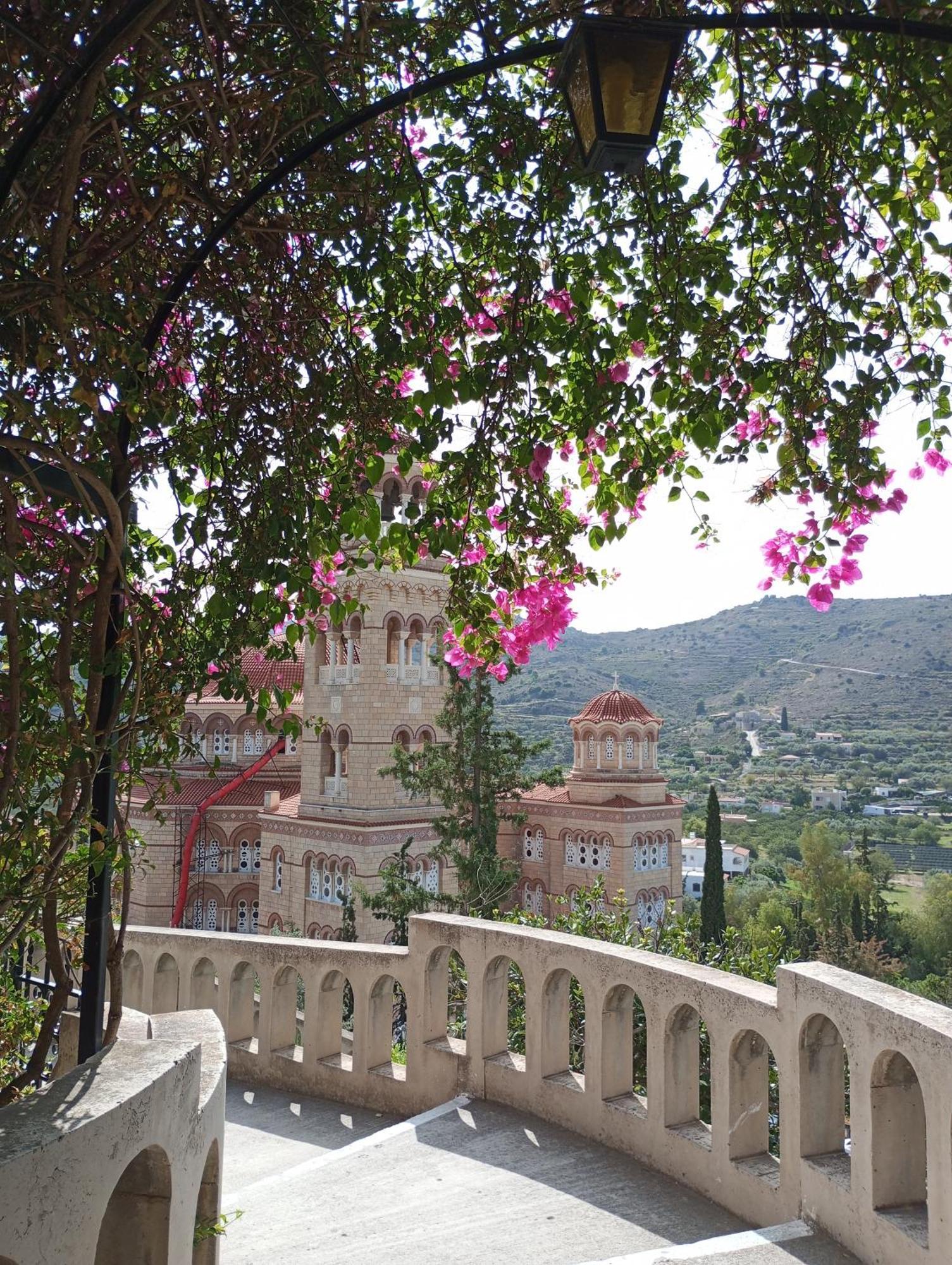 Svetlana & Michalis Oasis Hotel Agia Marina  المظهر الخارجي الصورة