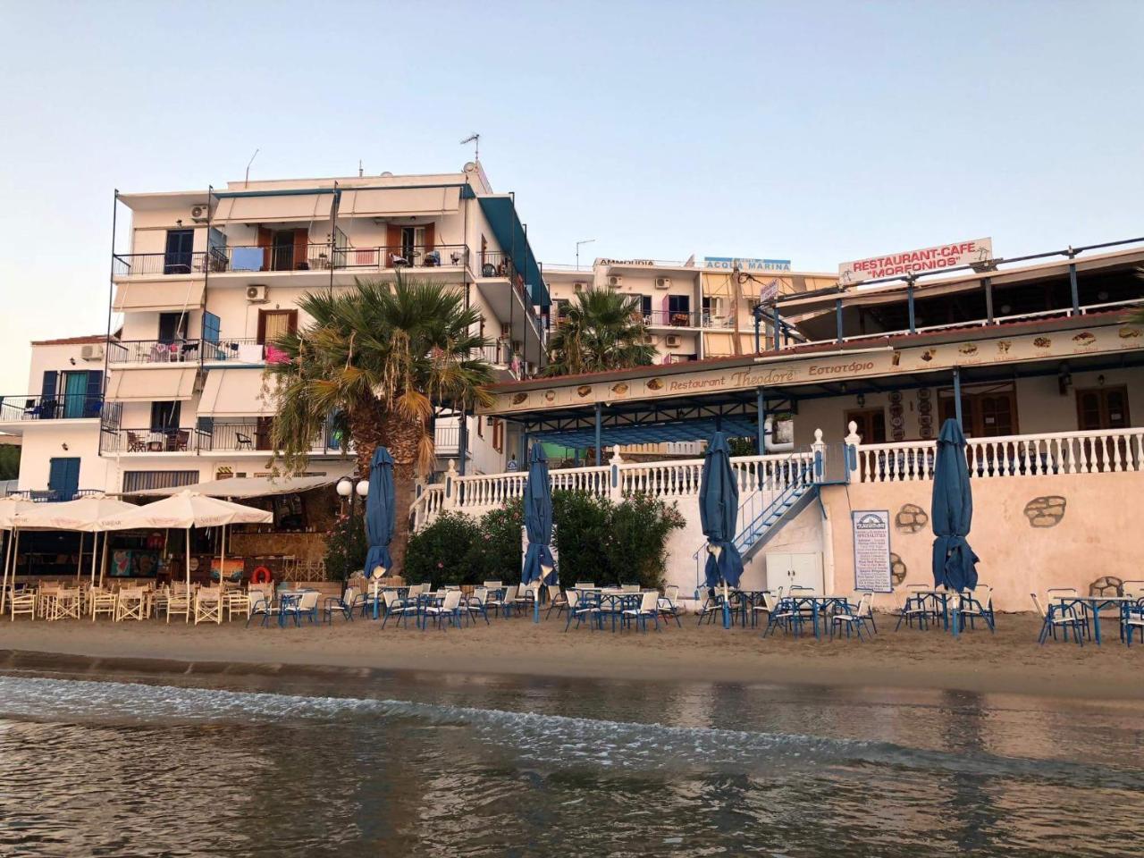 Svetlana & Michalis Oasis Hotel Agia Marina  المظهر الخارجي الصورة