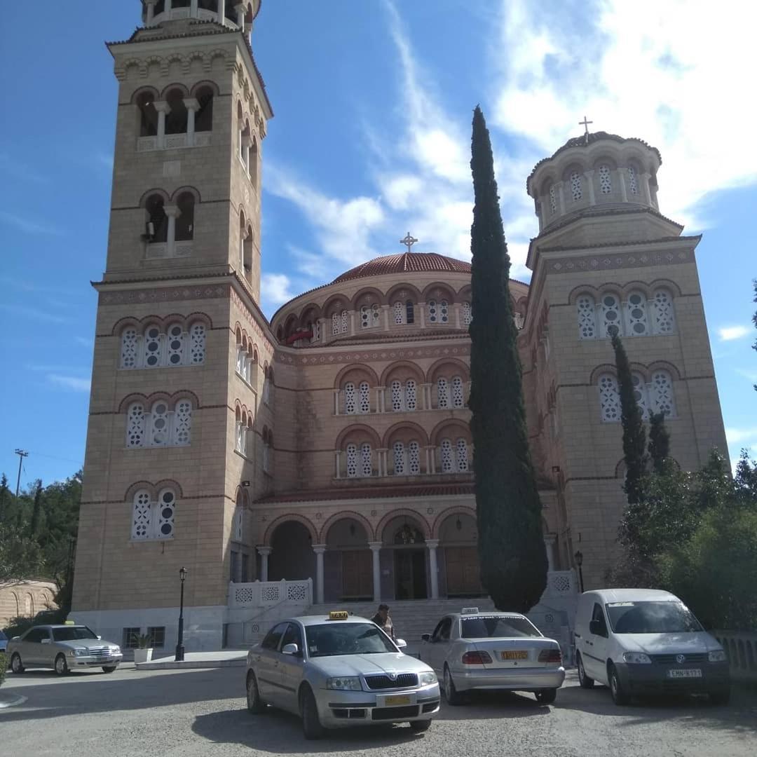 Svetlana & Michalis Oasis Hotel Agia Marina  المظهر الخارجي الصورة